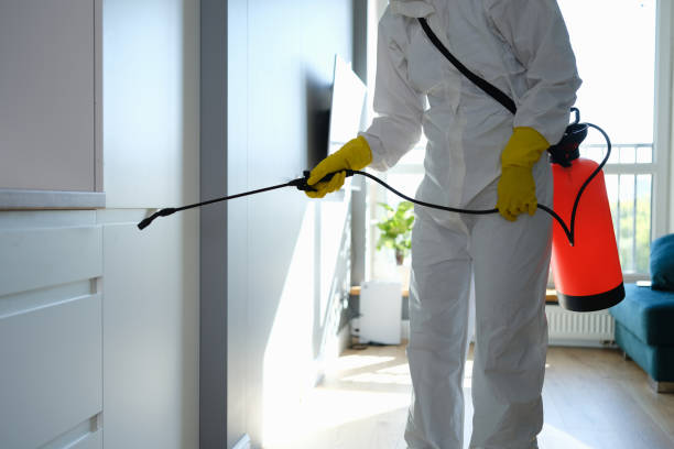 Best Mold Damage Repair  in Floresville, TX