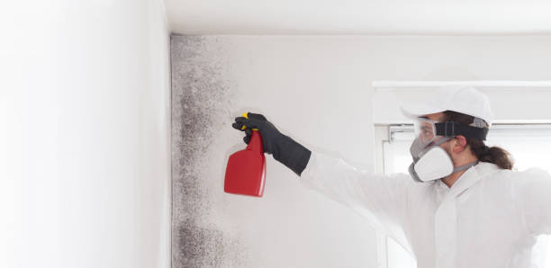 Best Residential Mold Removal  in Floresville, TX