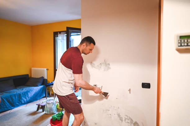 Best Mold Remediation  in Floresville, TX